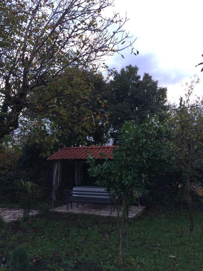 Sweet Memories Ξενοδοχείο Κουτάισι Εξωτερικό φωτογραφία